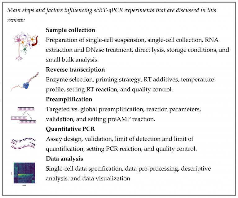 Real-time Sentiment Analysis: Applications and Limitations