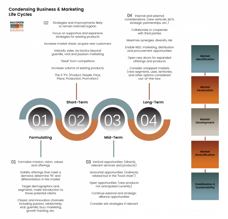 The Impact of Market Cycles on Diversification Strategies