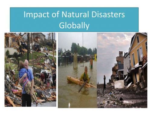 The Effect of Global Environmental Disasters on Indian Markets