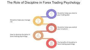 The Role of Trading Psychology and Discipline in Executing Your Plan