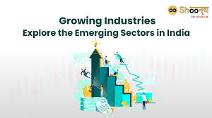 The Potential of Emerging Sectors in the Indian Economy