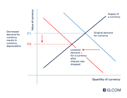 The Effect of Inflation and Interest Rates on Currency Values