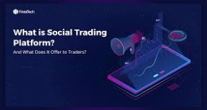 How to Use Social Trading Platforms