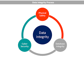 Techniques for Ensuring Real-Time Data Integrity