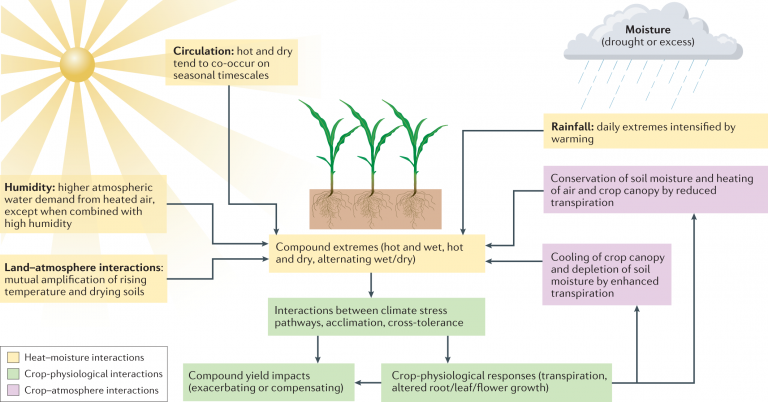 The Relationship Between Monsoon Seasons and Agricultural Stock Performance