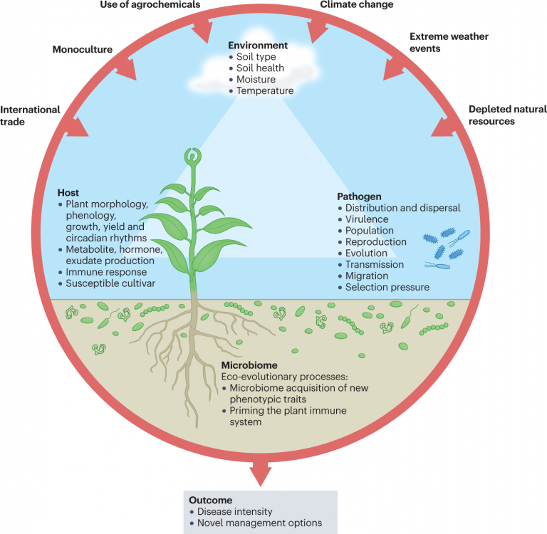 Continuous Monitoring and Adaptation to Changing Seasonal Patterns