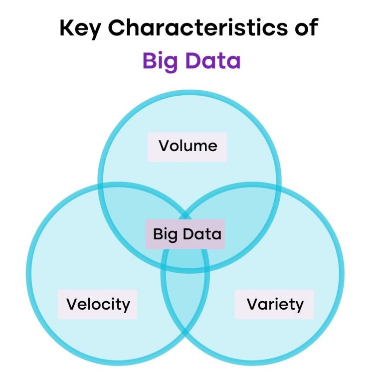 The Role of Big Data Analytics in Fraud Detection and Prevention