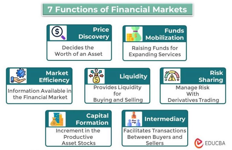 The Role of the Stock Market in Capital Formation and Allocation