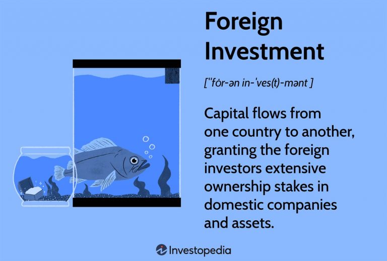 The Impact of Foreign Investment Through Stock Markets on the Economy