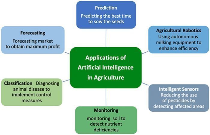 The Ethical Considerations of AI in Market Prediction