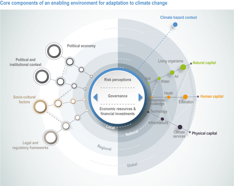 Adapting Investment Strategies in Response to Shifting Government Policies