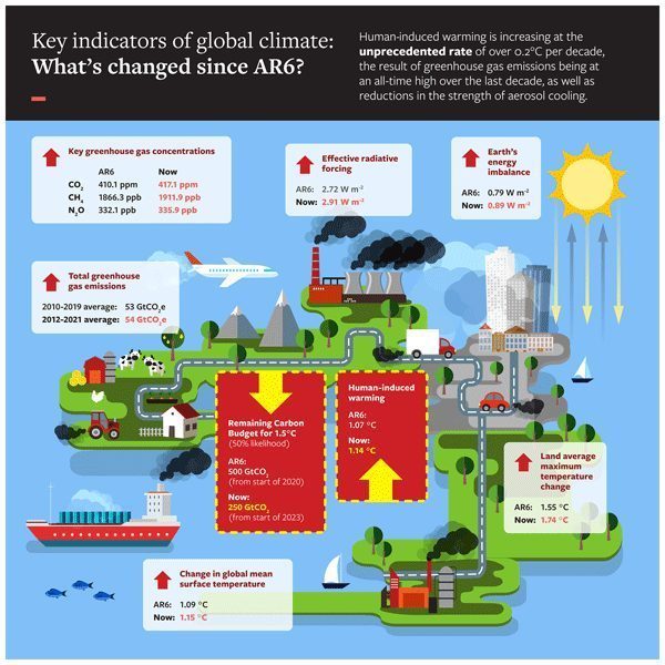 The Influence of Global Climate Agreements on Market Trends