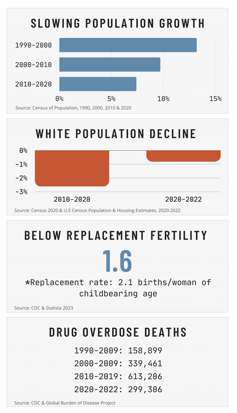 Understanding Demographic Trends and Their Economic Implications