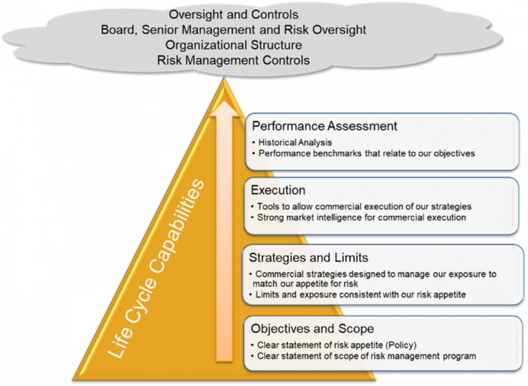 Risk Management Strategies for Commodity Traders