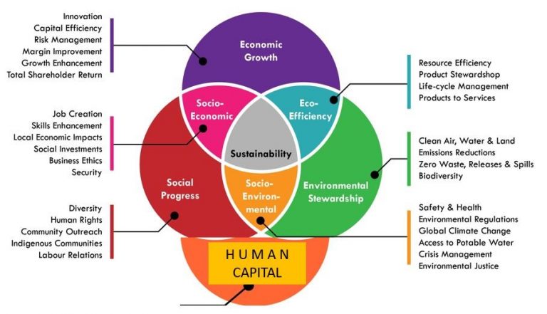 Education and Skill Development: Investing in India’s Human Capital