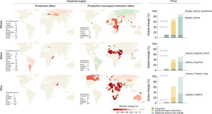 The Impact of Export Bans and Restrictions on Agribusiness Companies