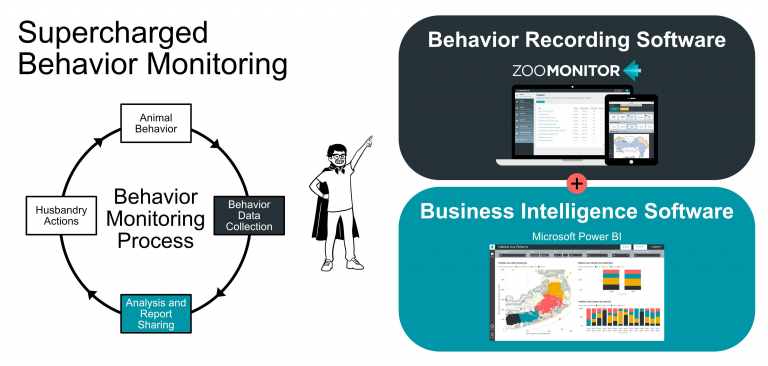 Combining Heatmaps with Other Technical Analysis Tools for Enhanced Insights