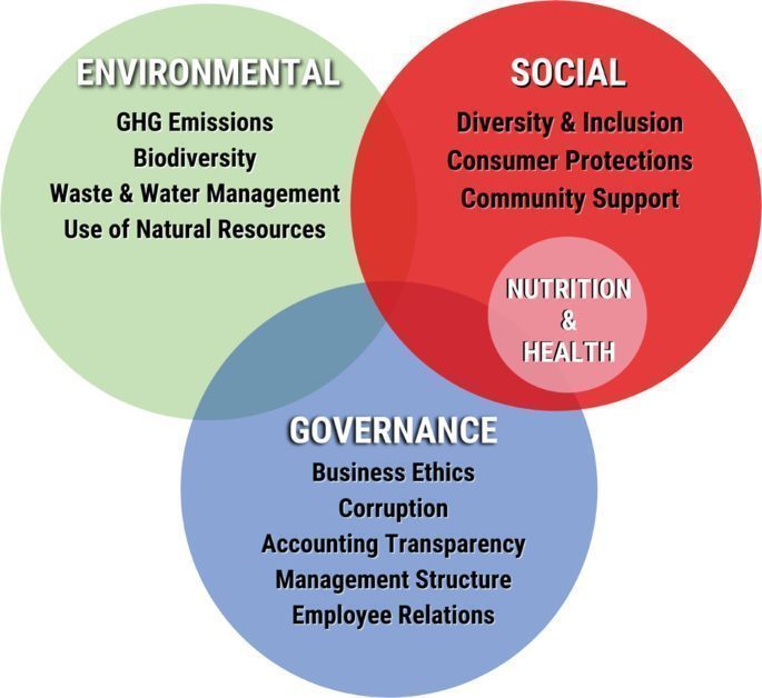 The Importance of Transparency and Reporting in ESG Investments