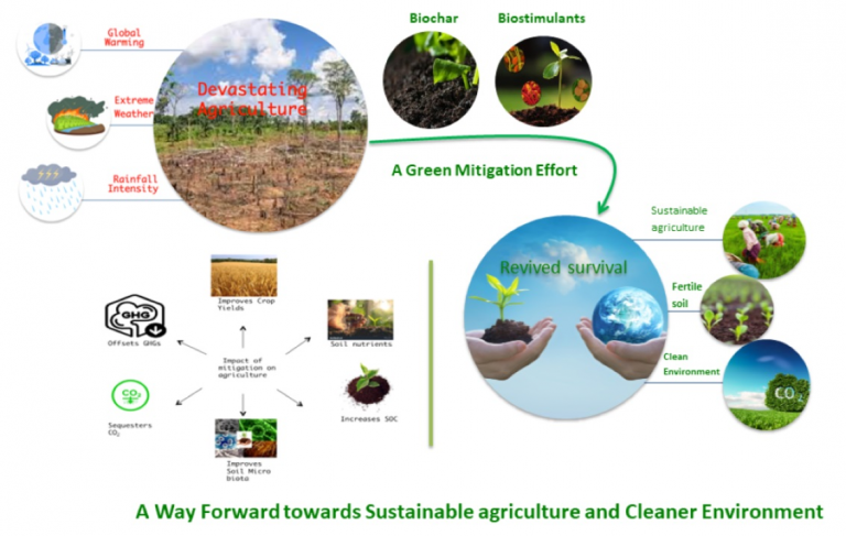 Weather-Related Seasonality and Its Effect on Agricultural Stocks