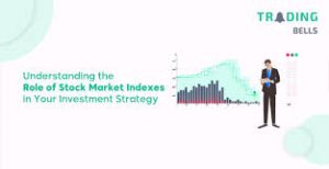 The Role of Stock Market Indices in Portfolio Management