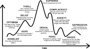 The Psychology of Market Bubbles and Crashes