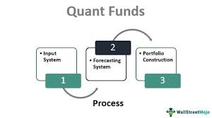 Introduction to Quant Funds in India: How They Work