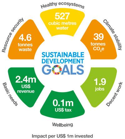 The Challenges of Measuring the Impact of Sustainable Investments