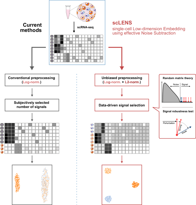 Overcoming the Noise: Filtering Relevant Signals in Big Data