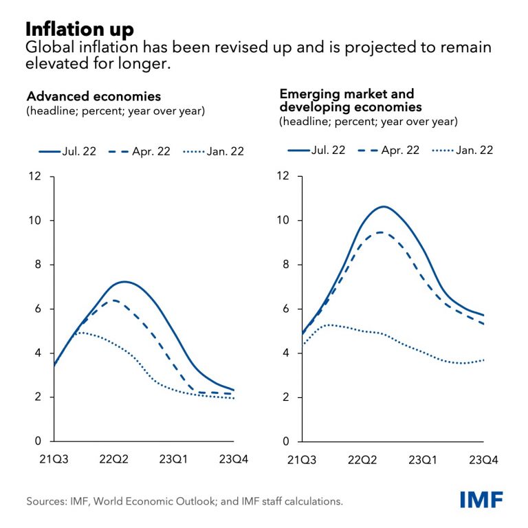 The Impact of Global Inflation Trends on Local Markets