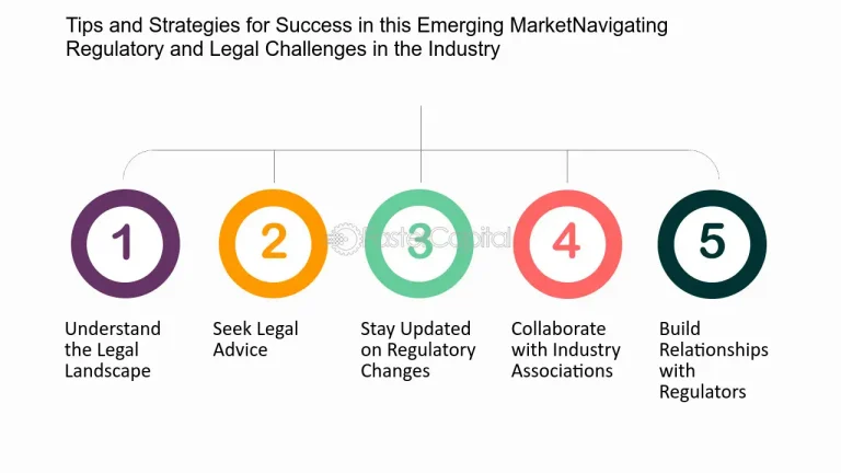 Navigating Regulatory and Legal Challenges in Emerging Markets