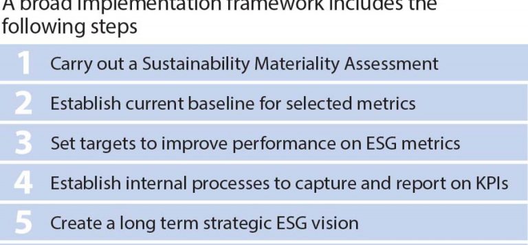 Strategies for Assessing ESG Performance of Indian Companies